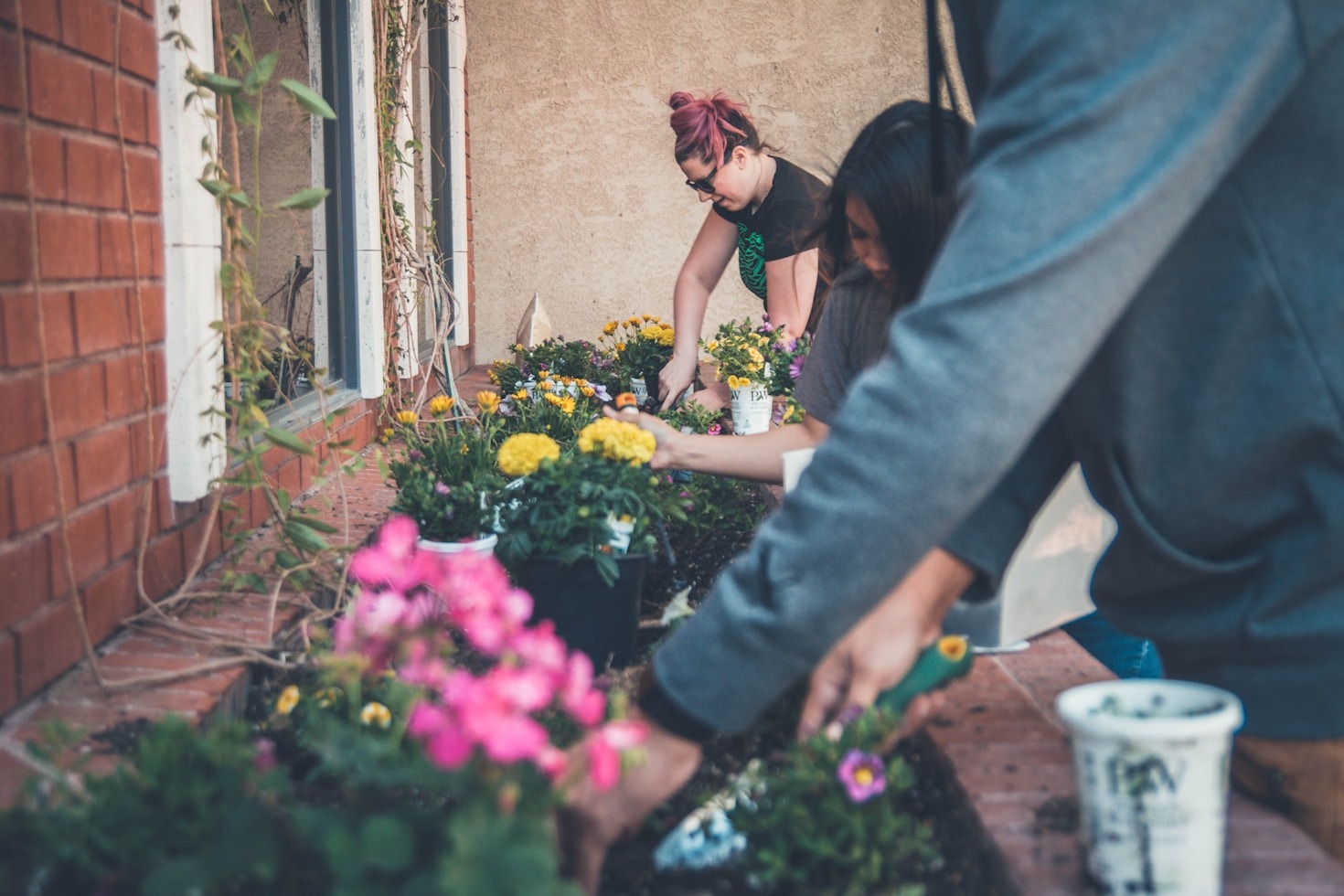 Innovative Initiatives Strengthening the Midwest